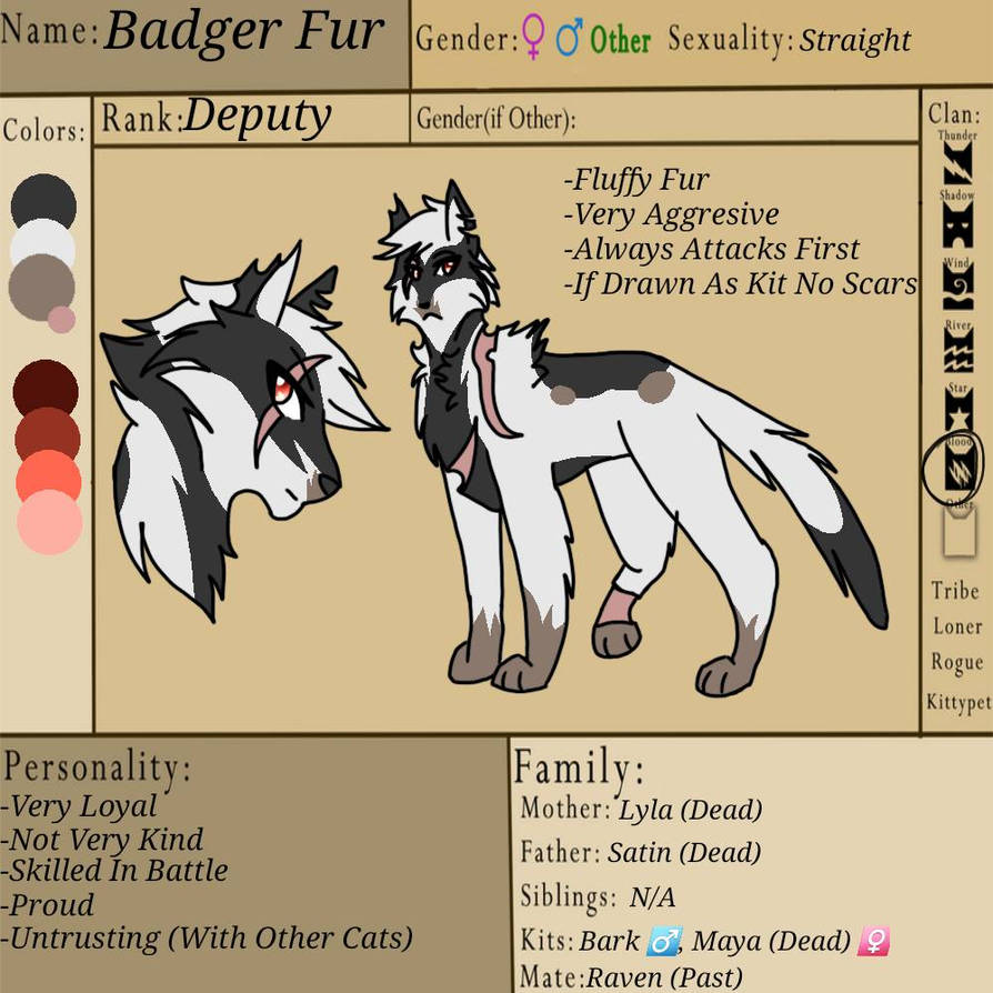 Badger Names Badger Fur (Ref) by AleynaChandra on DeviantArt