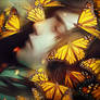 Sleeping With Butterflies