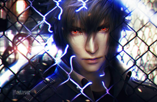 Noctis Lucis Caelum