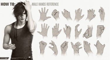 HOW TO: Male Hands Reference