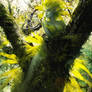 Leaf Spirit