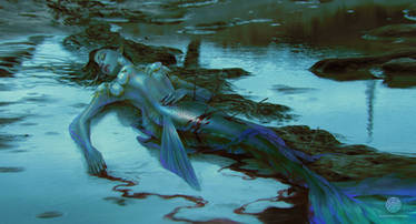 A Pearl Mermaid Hunt