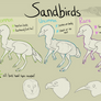 Sandbirds Species Guide