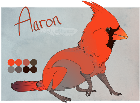 Sandbird Custom:: Aaron