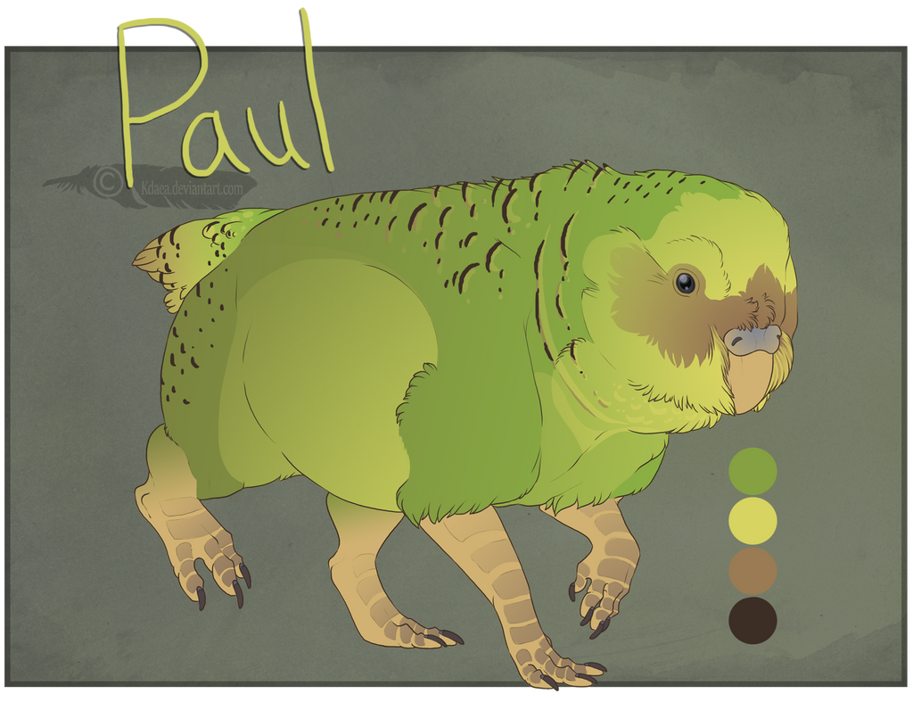 Sandbird Custom:: Paul