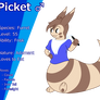 Pokesona: Picket the Furret