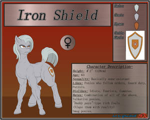 Commission - Iron Shield Ref Sheet