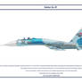 Su-27 Belarus 1