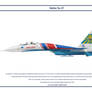 Su-27 Russia 4