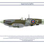 Spitfire GB 127 Squadron 3