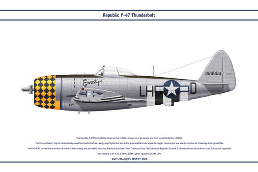 P-47 USAAF 350th FS 1