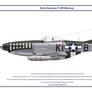 Mustang USAAF 55th FS 1