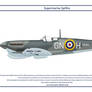 Spitfire GB 249 Squadron 1