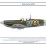 Spitfire GB 312 Squadron 2