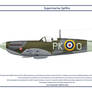 Spitfire GB 315 Squadron 1