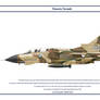 Tornado Saudi 7 Sqn 1