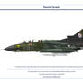 Tornado Germany JaboG 31 1