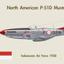 Fridge Magnet P51D 1