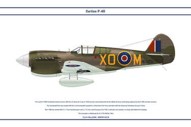 P-40E New Zealand 2