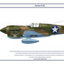 P-40E USA 9th FS 2