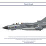 Tornado GB 2 Sqn 1