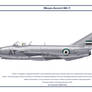 MiG-17 Syria 1