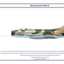 MiG-19 Syria 2