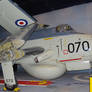 Yeovilton Gannet