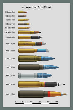 Ammunition Size Chart