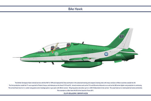 Hawk Saudi 2