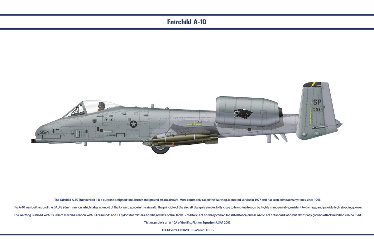 A-10 81st FS