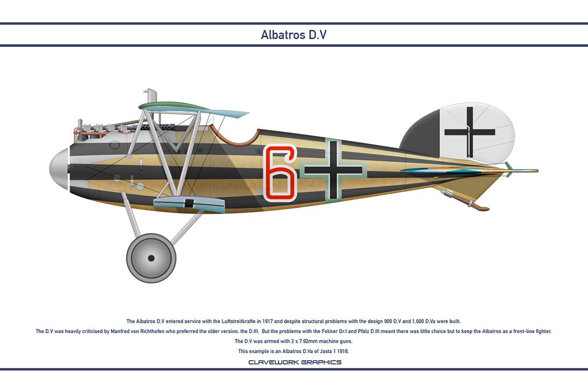 Albatros DV Jasta 1 1