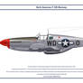 Mustang USAAF 335th FS 1