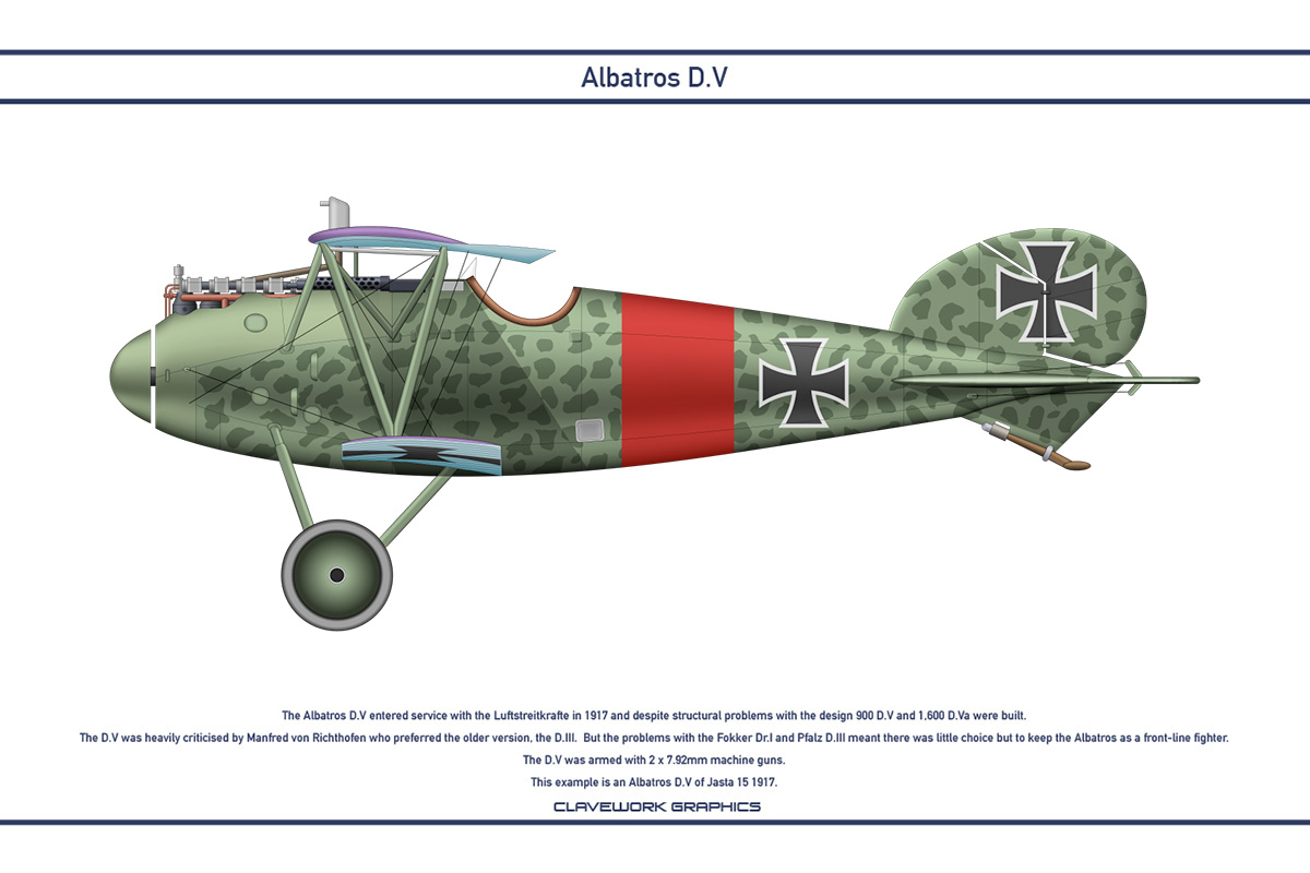 Albatros DV Jasta 15 1