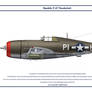 P-47 USAAF 360th FS 1