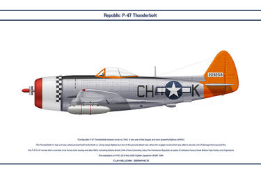 P-47 USAAF 365th FS 1