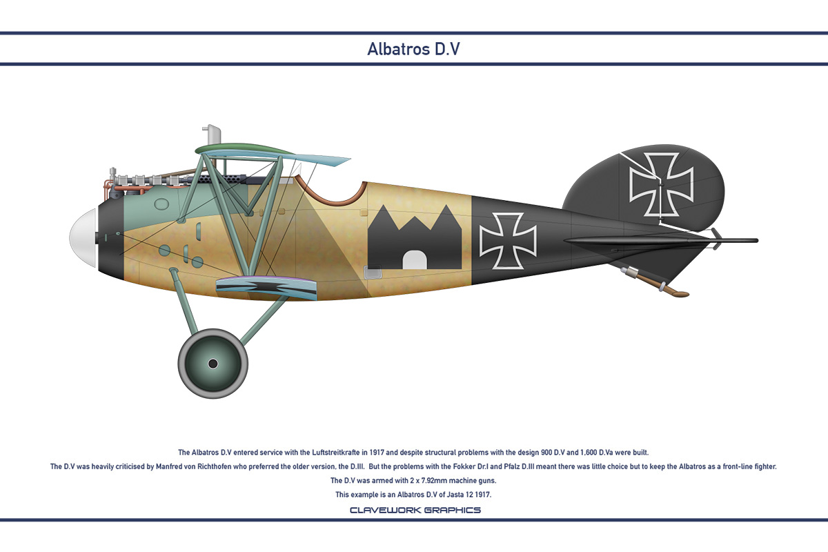 Albatros DV Jasta 12 3