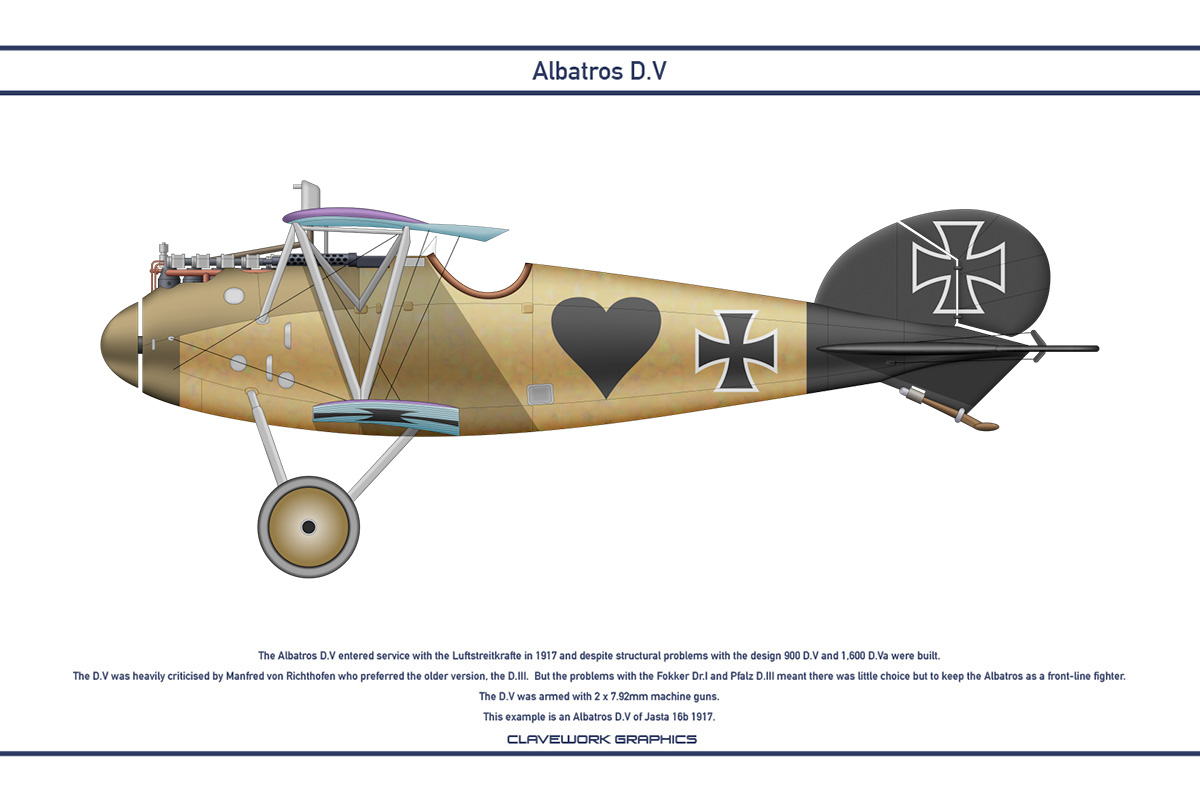 Albatros DV Jasta 16b 3