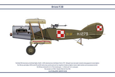 Bristol F.2B Poland 1 Esk