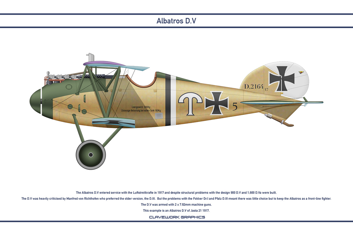 Albatros DV Jasta 21 1