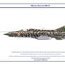 MiG-21 India 3