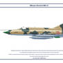 MiG-21 Egypt 3