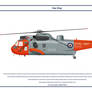 Sea King GB 2