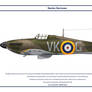 Hurricane GB 238 Sqn