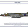 Hunter GB 45 Squadron 1