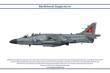 Harrier GB 800 Squadron 3