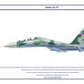 Su-27 Eritrea 2