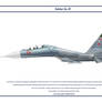 Su-27 Russia 5