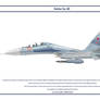 Su-30 Russia 1