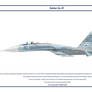 Su-27 Uzbekistan 2